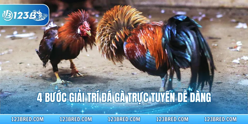 4 bước giải trí đá gà trực tuyến dễ dàng