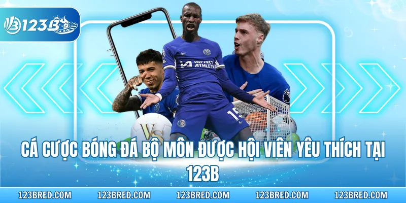 Cá cược bóng đá bộ môn được hội viên yêu thích tại 123B