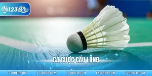 Cách Chơi Cá Cược Cầu Lông Chuyên Sâu Cho Newbie 123B