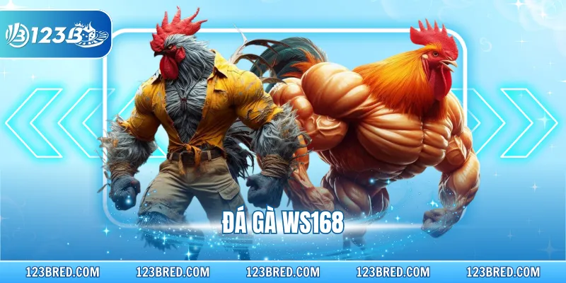 Đá Gà Ws168 – Sảnh Cá Cược Trực Tiếp Kịch Tính Nhất