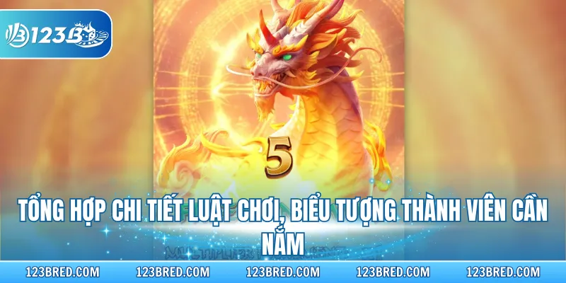 Tổng hợp chi tiết luật chơi, biểu tượng thành viên cần nắm